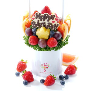 yajɁzt[cu[P nbs[fC STCY a o[Xf[ t[coXPbg v[g P[L ʕMtg ؂₩ TvCY 蕨 Jbgt[c荇킹 j 