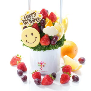 yav[gɁz t[cu[P nbs[X}C STCY a o[Xf[ t[cMtg t[coXPbg v[g j TvCY 蕨 ʕMtg 킢 