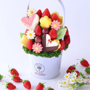 yLOzt[cu[P }A[W MTCY t[cMtg uC_ j LO v[g P[L j TvCY ʕMtg TvCY 蕨 킢  