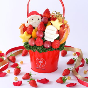 yԌzNX}Xt[cu[P MTCY a o[Xf[ t[coXPbg v[g P[L ʕMtg ؂₩ TvCY 蕨 Jbgt[c荇킹 j T