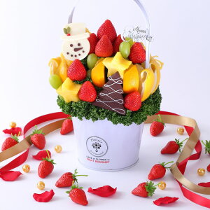 yԌzNX}Xt[cu[P MTCY a o[Xf[ t[coXPbg v[g P[L ʕMtg ؂₩ TvCY 蕨 Jbgt[c荇킹 j T