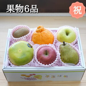 y azʕ 6i  ʕlߍ킹@ʕMtg t[cMtgi Mtg t[c ʕZbg t[cZbg {̉ʕ lߍ킹 蕨 j a v[g j 