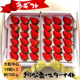 【冬ギフト】大切な方へイチゴで届ける幸せで楽しいひと時【大粒中心36玉】【1～8日以内に発送!】