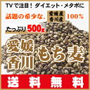 TVで話題のダイエットで注目！希少な愛媛・香川産100％もち麦ダイシモチ500g送料無料 ランキングお取り寄せ