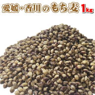 新麦・TV名医のTHE太鼓判！で放映ダイエットで注目！希少高品質な愛媛・香川産100％もち麦・ダイシモチ1k…
