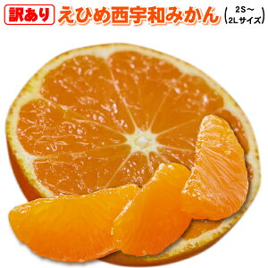 {N[|30%OFFЂߐFa ݂ ȓTtIňlɒI2.5kgőʃT[rXtI݂ƌ΁IQFa݂IQFa݂