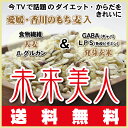 1kg(500gX2袋)TVで話題のダイエットで注目！希少な愛媛・香川産・もち麦・ダイシモチ配合大麦＆発芽玄米たっぷりの未来美人⇒送料無料 ポッキリ・国産100... ランキングお取り寄せ