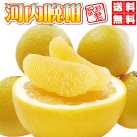 本日10％OFFクーポン★河内晩柑・夏文旦　送料無料 10kg⇒TVで話題の大人気・訳あり・河内晩柑（夏文旦）送料無料・愛媛産（訳あり・ご家庭用）愛媛みかん