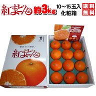本日ポイント10倍　紅まどんな　約3kg（10～15玉）JAえひめ中央化粧箱入り　送料無料　今マスコミで話題…