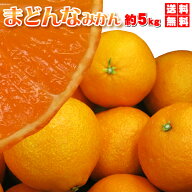 本日クーポンで10%OFF　まどんなみかん　約5kg　家庭用（M~4L）　送料無料　今マスコミで話題の！ぷるる…