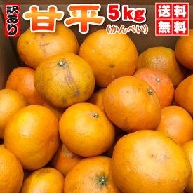 ★本日10％OFFクーポン★かんぺい送料無料で赤字覚悟の大箱5kg！希少品種・甘平（かんぺい）一度は食べてみたい今話題のレアなみかん！（訳あり・ご家庭用）