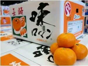 ݂@ JA肹Ё@}@Di@S/M/LTCYiTCYwsj@10L@Ε鑡pykCEn͕ʓr550~z11{`12{tws