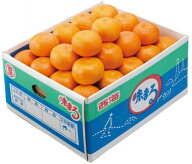 長崎みかん 味まるみかん 赤秀 2Sサイズ 小粒 約5kg 長崎県産 西海味まる みかん 蜜柑 贈答用 お歳暮 ギ…
