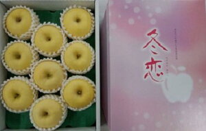 岩手産 冬恋りんご プレミアム冬恋7玉〜10玉 特秀 約2.5キロ 化粧箱入り 高級贈答用 【12月10日〜12月25日頃発送日付指定不可】【北海道・離島地区は別途550円】