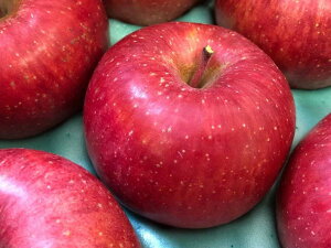 쌧 JAȂ uꍂ̃TӂS @Gi @7ʁ`12ʁi3Lj@Ε鑡py zy zyTӂzy11{`12{twszkC