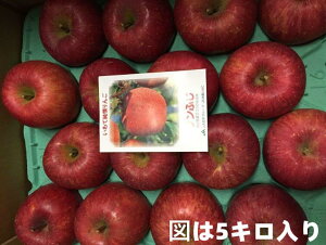 ]hY@]h񂲁@Tӂ񂲁@ZG@ʁ@7ʁ`12ʁ@3L@iyTӂ5kgzy񂲁zyTӂzy]h 񂲁zy ]hzy 񂲁z11