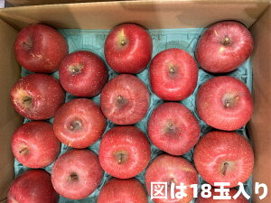 쌧ܖY@ƒpi󂠂jTӂS 12ʁ`18ʁ@5L@pɂނ܂y zy zyTӂzyܖ Tӂzy11{`12{