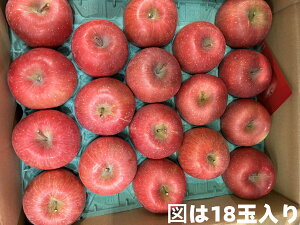 長野県安曇野産 サンふじリンゴ  優 12玉〜18玉 約5キロ 贈答用【りんご 蜜入り】【りんご 送料無料】【サンふじ】【安曇野 サンふじ】【11月中旬〜12月中旬頃発送日付指定不可】北海