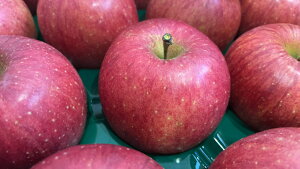 茧Y JAĒ@ nTӂ キ@ZG@16ʁ`20ʁ@5L@iyTӂ5kgzy񂲁zyTӂzy 񂲁z11{`12{