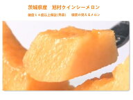 茨城県産 JA茨城旭村 クインシーメロン 秀品 4L 大玉 2玉 （約2.8kg〜3kg） 赤肉メロン 甘い 贈答用 ギフ…