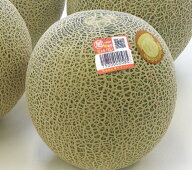 糖度16度以上 JA茨城旭村 クインシーメロン 特秀 3L2玉 赤肉メロン 甘い 高級メロン 贈答用 ギフトお中元…