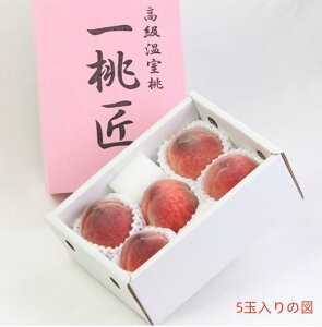�R���������������@ JA�ӂ��ӂ�����x���@�꓍���@4�ʁ`6�ʁi��1�L���j���ϔ����@�����p�y �������z�y����̓��z�k�C���E��B�E�����E�n��ʓr�����N�[��660�~5�����{�`6����{���������t