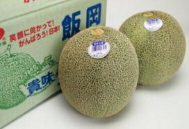楽天市場】千葉県JAちばみどり飯岡産 タカミメロン 特秀 大玉4L〜5L 2 