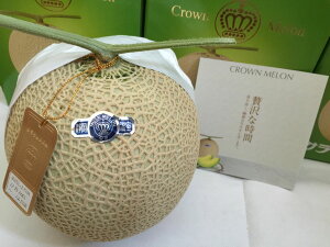 ÉYNE@FR1(1.3kgȏ)pϔ@yyMt_zyyMt_̂zkCEnʓr500~ j   j @̂j