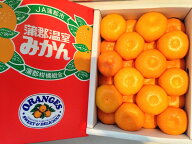愛知産　蒲郡温室みかん　Mサイズ　秀品　約2.5kg蒲郡ハウスみかん/蒲郡温室みかん/温室みかん/みかん/贈…