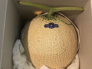 t@uh@ANA@1ʓ@ϔyzyzy}XNz