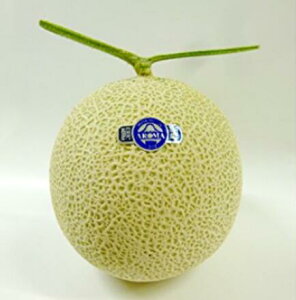 ÉY@A[} @1.3Lȏ@1ʁiϔj}XNy}XNzyA}zyzyzy̓zy̓zyzyjzyM