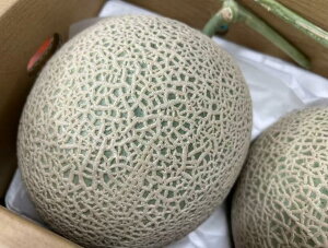 F{@@A[X@S@4LTCY2ʁ@p11{`12{twskCEnʓr550~