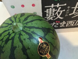 群馬県ブランド西瓜　藪塚こだますいか（紅小玉）約6キロ（約3キロ×2玉）【小玉すいか】【スイカ】【小玉西瓜】【薮塚小玉すいか】【西瓜】北海道・中国・四国・九州・離島地区別途クール料金660円6月中旬頃発送日付指定不可