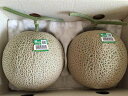 JA茨城旭村　アールスメロン 【秀】 大玉2玉 3キロ以上　贈答用【茨城メロン】【マスクメロン】【旭村 メロン】北海道・離島地区別途料金500円7月中旬～8月中旬頃発送日付指定不可