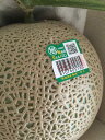 JA茨城旭村　アールスメロン 【秀】 大玉1玉 （ 約1.5～2kg）　贈答用【茨城メロン】【マスクメロン】【旭村 メロン】7月中旬～8月中旬頃発送日付指定不可北海道・九州・離島地区別途料金500円