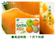 北海道産メロン　JAきょうわ　らいでんメロン（赤肉）秀品　4玉又は5玉（約8キロ）産地原箱北海道・離島…