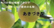 千葉県市川産の名梨　あきづき梨　秀品　5玉～8玉　約2.5キロ　贈答用【※無地段ボール・簡易箱で発送※…