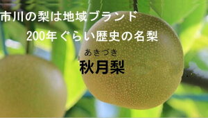 tsY̖ @Â@Gi@18ʁi5Lj@p@Â@y9{`10{twszykCEElEnʓrN[660~z