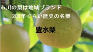 市川の梨 豊水梨 千葉県市川産 約5kg 9〜16玉 甘い 和梨 梨 フルーツギフト 贈答用北海道・中国・四国・…