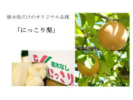 栃木県産 にっこり梨 5kg【ご家庭用・良品】大玉 4玉～10玉 自宅用 家庭用 梨 なし ナシ 和梨 日本梨 フ…