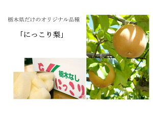 Ȗ؎Y@ɂ藜 yGiz 7ʁ`8ʁ@5L@Ε鑡pykCEn͕ʓr550~zy10{`11{twsz