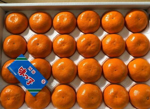 茧CY@z~q݂@nEX͔|@ԏG@20ʁ`24ʓ@pyqzy܂zy ݂zy݂zkCEnʓr500~2`3{t