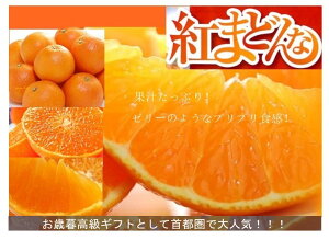 QY@g܂ǂȁ@G LTCY15ʁi3kgj@ϔ肨Ε鑡p11`12{twskCEn͕ʓr500~