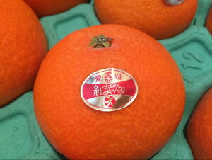 QY@g܂ǂȁ@ԏG 2LTCY@3kg@12ʁ@ϔ@Ε鑡py11`12{twszykCEn͕ʓr500~z