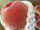 山梨県産 桃 大玉 6～8玉 約2kg 高糖度 もも 御坂産（大糖領） お中元 夏ギフト 贈答用【桃】【山梨桃】【御坂の桃】 【7月中旬～8月中旬頃発送日付指定不可】段ボール入り