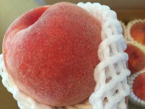 �R���Y�@���哜�̓��@��ʓ��@6�ʁ`8�ʁ@��2Kg�@�i�{�[������@�ăM�t�g �������M�t�g �y7�����{�`8�����{���������t�w��s�z �y���z�y�R�����z�y���̓��z�y�������z �k�C���E����