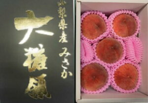 �R�����Y�@JA�ӂ��ӂ��@���@�哜�̓��@5�ʁ`6�ʁ@��1.5kg�y�����p�z�y�������z�y�䒆���z�y7�����{�`8�����{���������t�w��s�z�k�C���E�����E�l���E��B�E�����n��ʓr����660�~