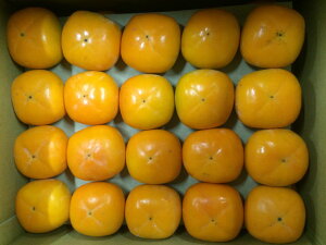 yޗǊ`zޗǌY gn̓` @ԏG@ L`2LTCY@32ʁ`40 pkCEʓr550~y