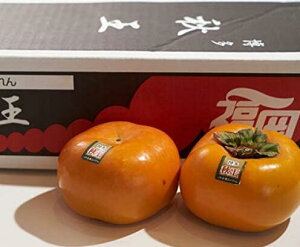 YIWi`@Ê`̐Vi H() @Gi@8ʁ`12ʁi3.5Ljpy11{`{twszkCEnʓr550~