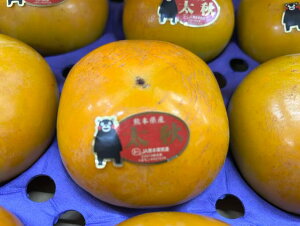 F{Y@H`iイjyGiz8ʁ`12ʓ@3.5L@py10{`11{twszkCEnʓr550~